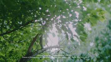 Free download Brand Film ) Suelo (2020) video and edit with RedcoolMedia movie maker MovieStudio video editor online and AudioStudio audio editor onlin