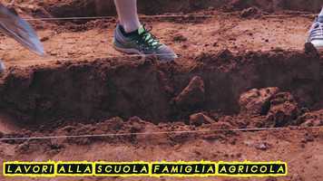 Free download brasil 2019 video and edit with RedcoolMedia movie maker MovieStudio video editor online and AudioStudio audio editor onlin