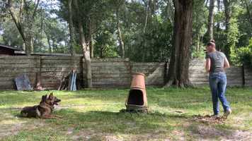 Free download Bravo, Bravo video and edit with RedcoolMedia movie maker MovieStudio video editor online and AudioStudio audio editor onlin