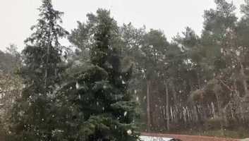 Free download Brck. Mariya Blisse_Grundschule Brck, 6 april 2020 video and edit with RedcoolMedia movie maker MovieStudio video editor online and AudioStudio audio editor onlin