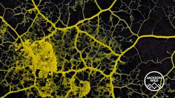 Free download Breakthrough-The Slime Minder Finalist Trailor video and edit with RedcoolMedia movie maker MovieStudio video editor online and AudioStudio audio editor onlin