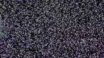 Free download Bredent video and edit with RedcoolMedia movie maker MovieStudio video editor online and AudioStudio audio editor onlin