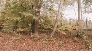 Free download Bremen - Dtlingen video and edit with RedcoolMedia movie maker MovieStudio video editor online and AudioStudio audio editor onlin