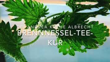 Free download Brennnesel-Tee-Kur video and edit with RedcoolMedia movie maker MovieStudio video editor online and AudioStudio audio editor onlin