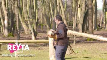 Free download Bridlington Animal Park No Music video and edit with RedcoolMedia movie maker MovieStudio video editor online and AudioStudio audio editor onlin