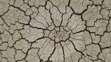 Free download Brigham City, UTAH B-Epic Direct Elev8 Avid Boosts Collagen Health | Opening: MN MI MA MD ME LA KY | video and edit with RedcoolMedia movie maker MovieStudio video editor online and AudioStudio audio editor onlin