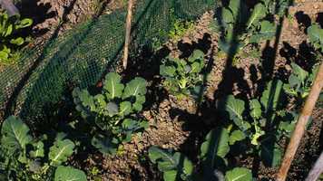 Free download Bright -  A short film by Filipe Hardisty video and edit with RedcoolMedia movie maker MovieStudio video editor online and AudioStudio audio editor onlin