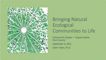 Free download Bringing Natural Ecological Communities to Life with Glenn Tobin.mp4 video and edit with RedcoolMedia movie maker MovieStudio video editor online and AudioStudio audio editor onlin