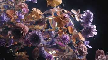 Free download Brizo video and edit with RedcoolMedia movie maker MovieStudio video editor online and AudioStudio audio editor onlin