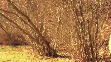 Free download Broadcast - Echos Answer (Unofficial Music Video) video and edit with RedcoolMedia movie maker MovieStudio video editor online and AudioStudio audio editor onlin