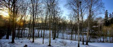 Free download Bronson Trailer video and edit with RedcoolMedia movie maker MovieStudio video editor online and AudioStudio audio editor onlin