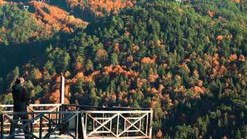 Free download BrothersCamp Film video and edit with RedcoolMedia movie maker MovieStudio video editor online and AudioStudio audio editor onlin