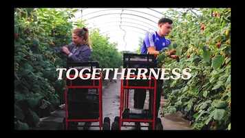 Free download BSF Strawberry Trailer.mp4 video and edit with RedcoolMedia movie maker MovieStudio video editor online and AudioStudio audio editor onlin