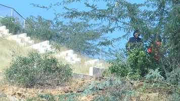 Free download BTS new song Meesni Punjabi Raja khan video and edit with RedcoolMedia movie maker MovieStudio video editor online and AudioStudio audio editor onlin