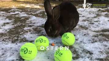 Free download BTV-Tenniscamps family / Garden Toscana Resort video and edit with RedcoolMedia movie maker MovieStudio video editor online and AudioStudio audio editor onlin