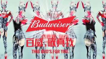 Free download BudVogue . For Budweiser Made for music Campaign 2016. By Juan Marrero video and edit with RedcoolMedia movie maker MovieStudio video editor online and AudioStudio audio editor onlin