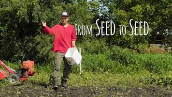 Free download Bullfrog Films presents...From Seed To Seed video and edit with RedcoolMedia movie maker MovieStudio video editor online and AudioStudio audio editor onlin