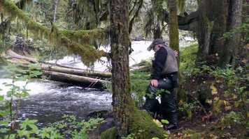 Free download Bullfrog Films presents...GUARDIAN video and edit with RedcoolMedia movie maker MovieStudio video editor online and AudioStudio audio editor onlin