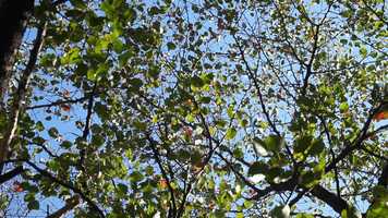 Free download Bus Music video and edit with RedcoolMedia movie maker MovieStudio video editor online and AudioStudio audio editor onlin