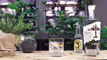 Free download Bustan // Gin Tonic video and edit with RedcoolMedia movie maker MovieStudio video editor online and AudioStudio audio editor onlin