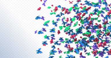 Free download Butterflies Transition | Motion Graphics - Envato elements video and edit with RedcoolMedia movie maker MovieStudio video editor online and AudioStudio audio editor onlin