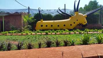 Free download Butterfly Paradise entrance video and edit with RedcoolMedia movie maker MovieStudio video editor online and AudioStudio audio editor onlin