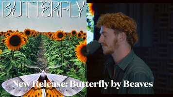 Free download Butterfly Release.mov video and edit with RedcoolMedia movie maker MovieStudio video editor online and AudioStudio audio editor onlin