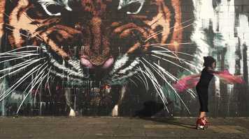 Free download Buzz Cut MULLET OVER Libby Odai video and edit with RedcoolMedia movie maker MovieStudio video editor online and AudioStudio audio editor onlin