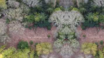 Free download By Primal Lore video and edit with RedcoolMedia movie maker MovieStudio video editor online and AudioStudio audio editor onlin