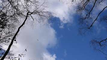 Free download Bystock Pools video and edit with RedcoolMedia movie maker MovieStudio video editor online and AudioStudio audio editor onlin