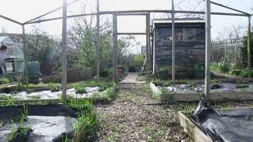 Free download C2C SOCIAL ACTION PROMOTIONAL VIDEO.mp4 video and edit with RedcoolMedia movie maker MovieStudio video editor online and AudioStudio audio editor onlin