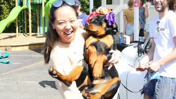 Free download C3 Web Trailer Update video and edit with RedcoolMedia movie maker MovieStudio video editor online and AudioStudio audio editor onlin