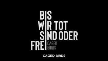 Free download CAGED BIRDS Trailer video and edit with RedcoolMedia movie maker MovieStudio video editor online and AudioStudio audio editor onlin