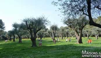 Free download CAGNES-SUR-MER - APPARTEMENT A VENDRE - 470 000  - 91 m - 4 pices video and edit with RedcoolMedia movie maker MovieStudio video editor online and AudioStudio audio editor onlin