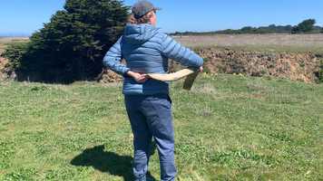 Free download California Grey Whale Education Program | Trailer video and edit with RedcoolMedia movie maker MovieStudio video editor online and AudioStudio audio editor onlin