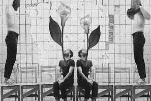 Free download Calla lilies video and edit with RedcoolMedia movie maker MovieStudio video editor online and AudioStudio audio editor onlin