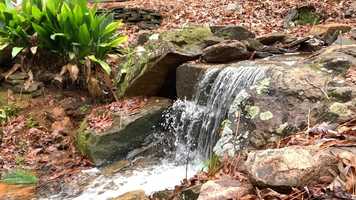 Free download Callaway Gardens video and edit with RedcoolMedia movie maker MovieStudio video editor online and AudioStudio audio editor onlin