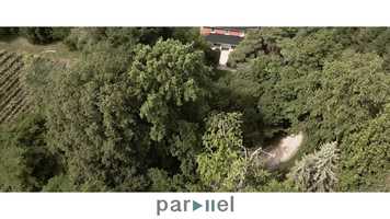 Free download Callie and Trevor | Gracewood Estates, Niagara-on-the-Lake | A Parallel Productions Wedding Film video and edit with RedcoolMedia movie maker MovieStudio video editor online and AudioStudio audio editor onlin