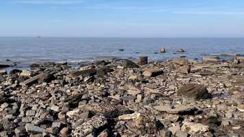 Free download Cambia, todo cambia - by Olia Fedorova video and edit with RedcoolMedia movie maker MovieStudio video editor online and AudioStudio audio editor onlin