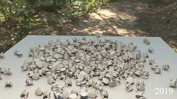 Free download CAM Digital Animation Scholarship Demo Reel video and edit with RedcoolMedia movie maker MovieStudio video editor online and AudioStudio audio editor onlin