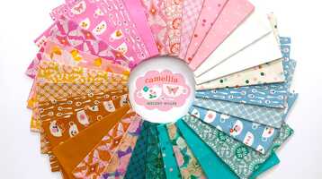 Free download Camellia by Melody Miller video and edit with RedcoolMedia movie maker MovieStudio video editor online and AudioStudio audio editor onlin