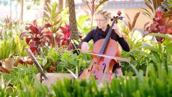 Free download Camerata video and edit with RedcoolMedia movie maker MovieStudio video editor online and AudioStudio audio editor onlin