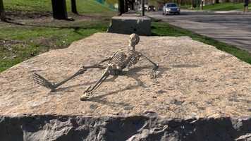 Free download Camera Tracking Experiment (Cinema 4D, Octane) video and edit with RedcoolMedia movie maker MovieStudio video editor online and AudioStudio audio editor onlin