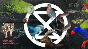 Free download Camino to COP26 video and edit with RedcoolMedia movie maker MovieStudio video editor online and AudioStudio audio editor onlin