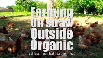 Free download campagne cinema ciwf film 3 by goodman et compagnie production de films communication video video and edit with RedcoolMedia movie maker MovieStudio video editor online and AudioStudio audio editor onlin