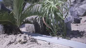 Free download Candycar Kickstarter 2018 video and edit with RedcoolMedia movie maker MovieStudio video editor online and AudioStudio audio editor onlin