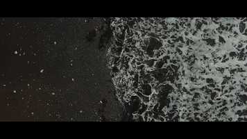 Free download Canon C200 - Cow Bay Surfing video and edit with RedcoolMedia movie maker MovieStudio video editor online and AudioStudio audio editor onlin