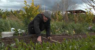 Free download CANON C200 TEST #2 RAW video and edit with RedcoolMedia movie maker MovieStudio video editor online and AudioStudio audio editor onlin