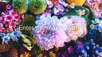 Free download Canon Digital Technophile video and edit with RedcoolMedia movie maker MovieStudio video editor online and AudioStudio audio editor onlin