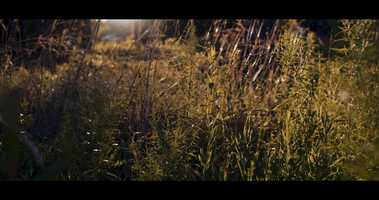 Free download Canon FD 28mm f2 - Quick Test Pt.2 - Ronin S - Blackmagic Pocket Cinema Camera 4K video and edit with RedcoolMedia movie maker MovieStudio video editor online and AudioStudio audio editor onlin